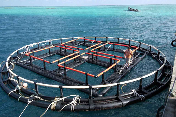 深海奇跡、水下牧場：探索深海養(yǎng)魚網(wǎng)箱在水產(chǎn)養(yǎng)殖中的新可能